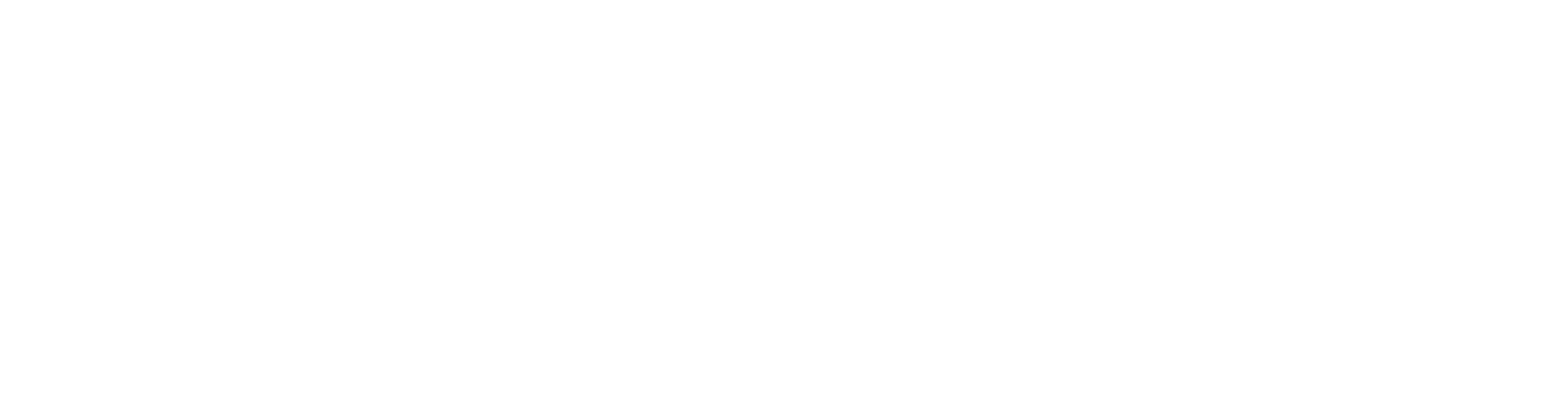 CodeAdjust